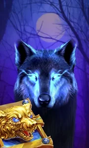 Book Of The Night Wolf